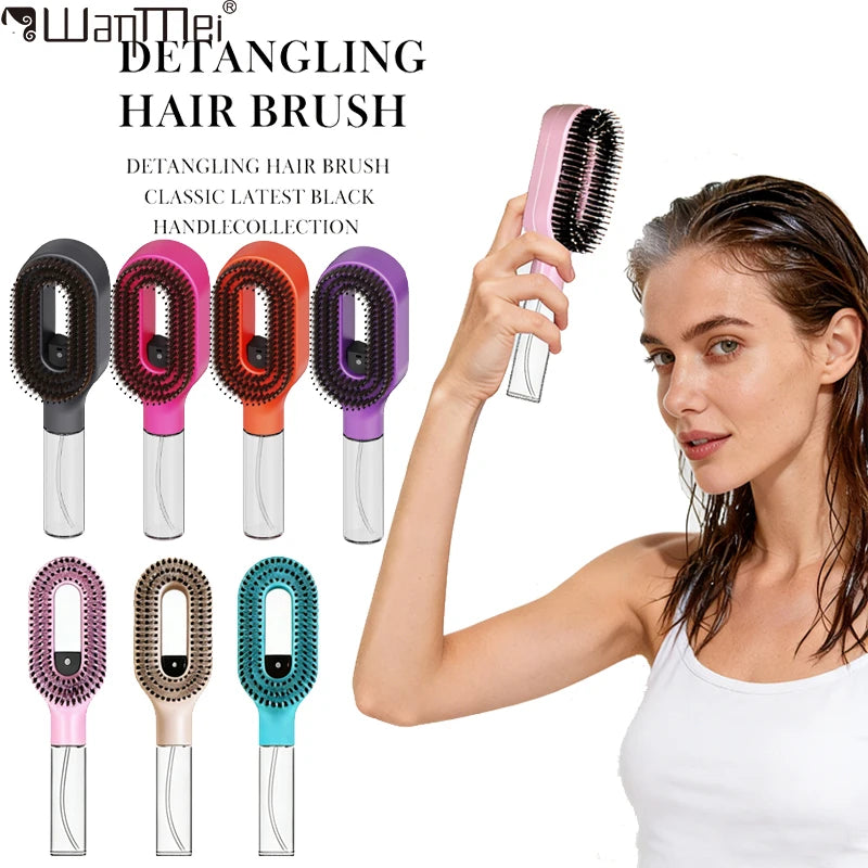 2 in 1 Detangling hair Brush with Water Mist Spray